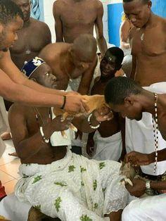 LE PLUS GRAND MAITRE MARABOUT RECONNU D'AFRIQUE