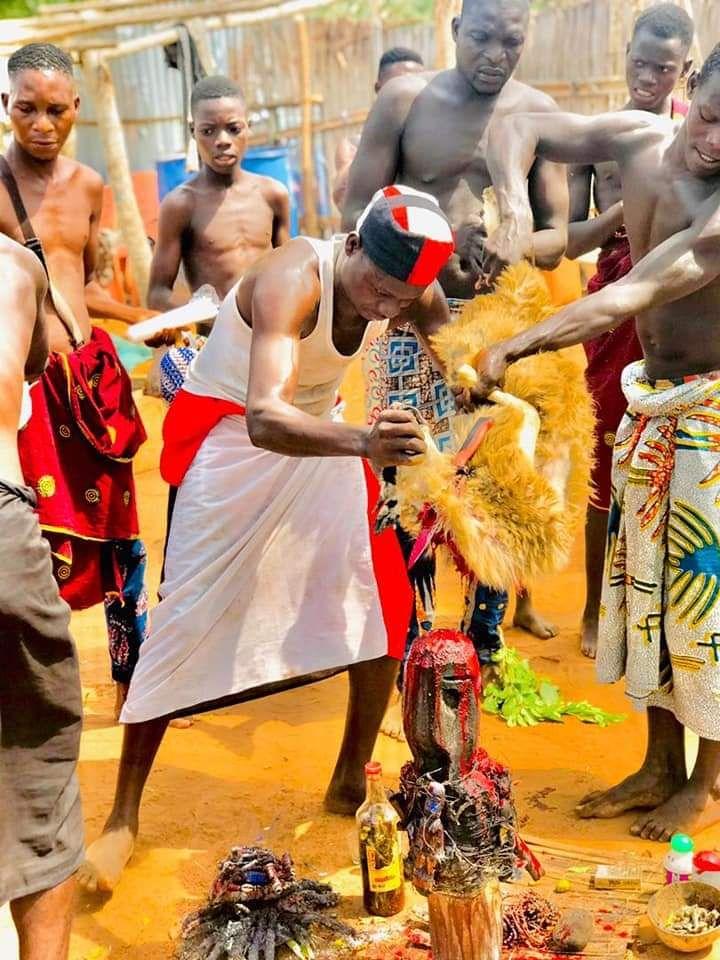 Meilleur grand maitre marabout voyant africain serieux sikili moussa