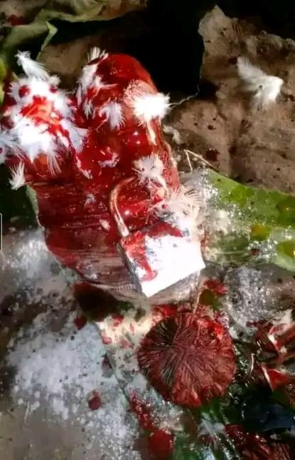 SIKILI MOUSSA LE MARABOUT VAUDOU D'AFRIQUE LE PLUS PUISSANT, VOYANT DE MAGIE NOIRE ET OCCULTISME.